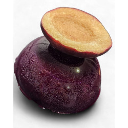 "Grzaniec" - Mulled wine - Ball