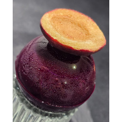 "Grzaniec" - Mulled wine - Ball