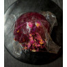 "Garden of Eden" Big Ball