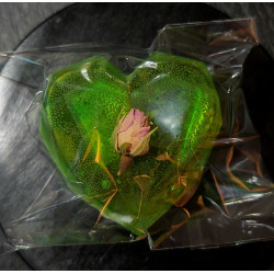 "Towards the Sun" heart