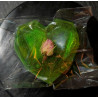 "Towards the Sun" heart