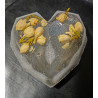 "Rafaella”  Heart