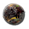 "Bora Bora" small ball