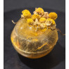"Sunshine in Orange" Ball small