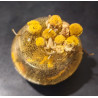 "Sunshine in Orange" Ball small