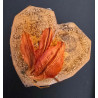 "Apricot Love" HEART