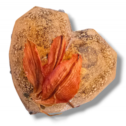 "Apricot Love" HEART