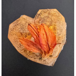 "Apricot Love" HEART