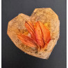 "Apricot Love" HEART