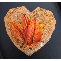 "Apricot Love" HEART