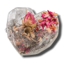 "Nature of the Rose" - Heart
