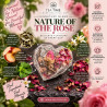 "Nature of the Rose" - Heart