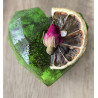 "Green Haven" - Big Heart