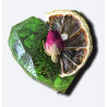 "Green Haven" - Big Heart