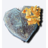 "Earl Grey Mango-Tango" HEART