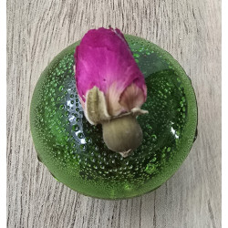 "Morning Spirit" - Small Ball