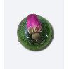 "Morning Spirit" - Small Ball