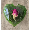 "Morning Spirit" - Heart