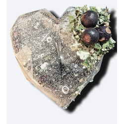 "By the fireplace" - Heart