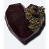 "Forest fruits" heart